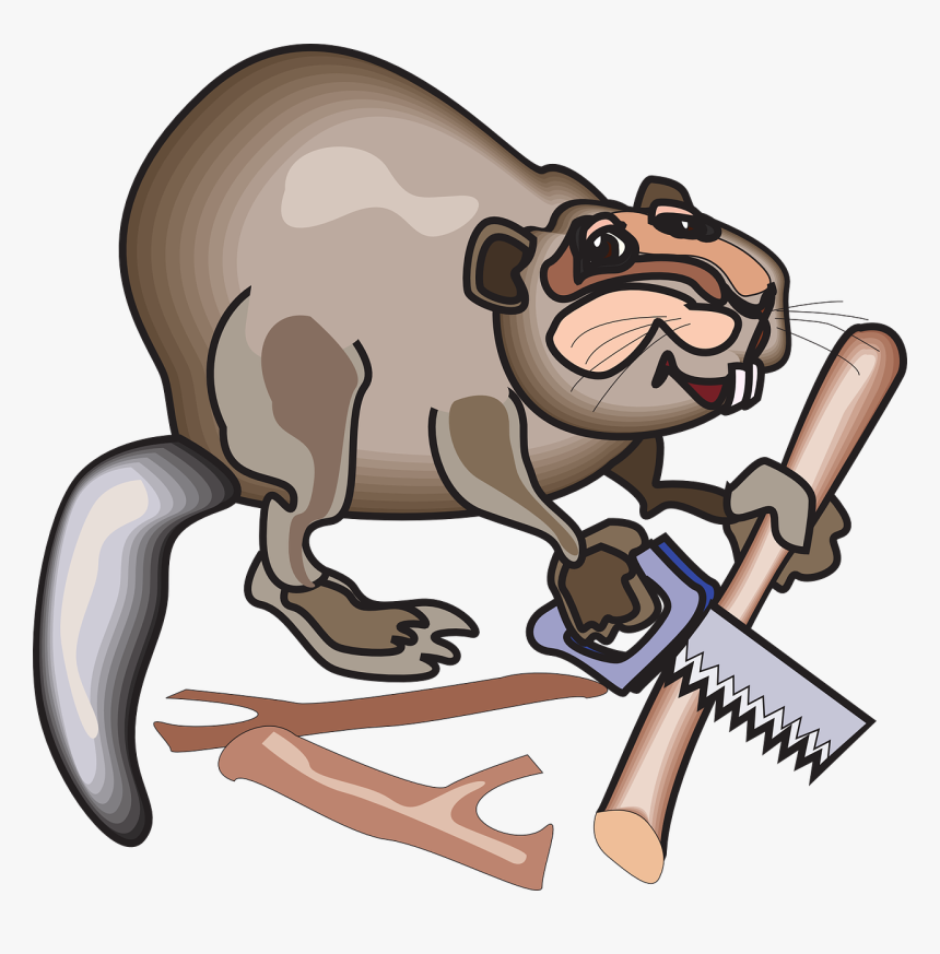 Beaver, HD Png Download