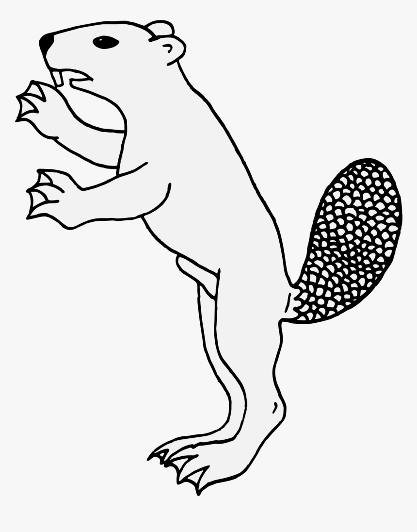 Line Art, HD Png Download