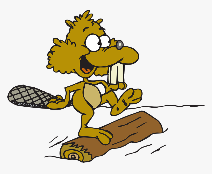 Water, Beaver, Log, Animal, Movement, Rolling, Roll - Running On A Log, HD Png Download