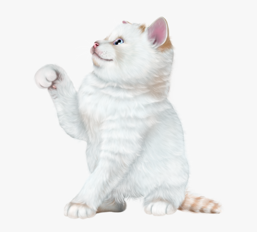 Kitten Cartoon, Girl Cartoon, Kitten Wallpaper, Cat - Domestic Short-haired Cat, HD Png Download