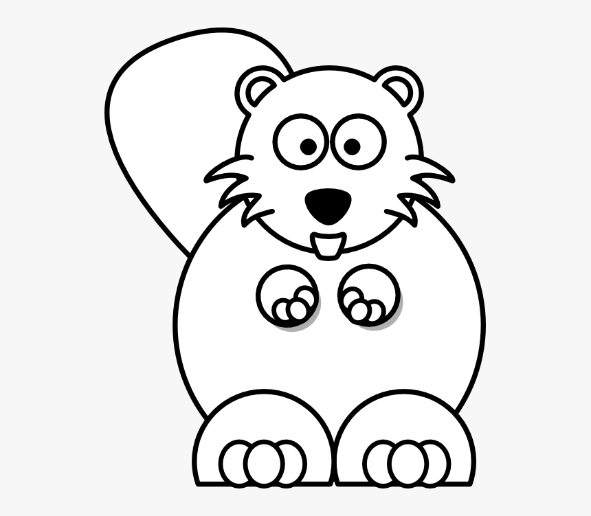 Beaver Black White Line 555px - Beaver Clipart Free Black And White, HD Png Download
