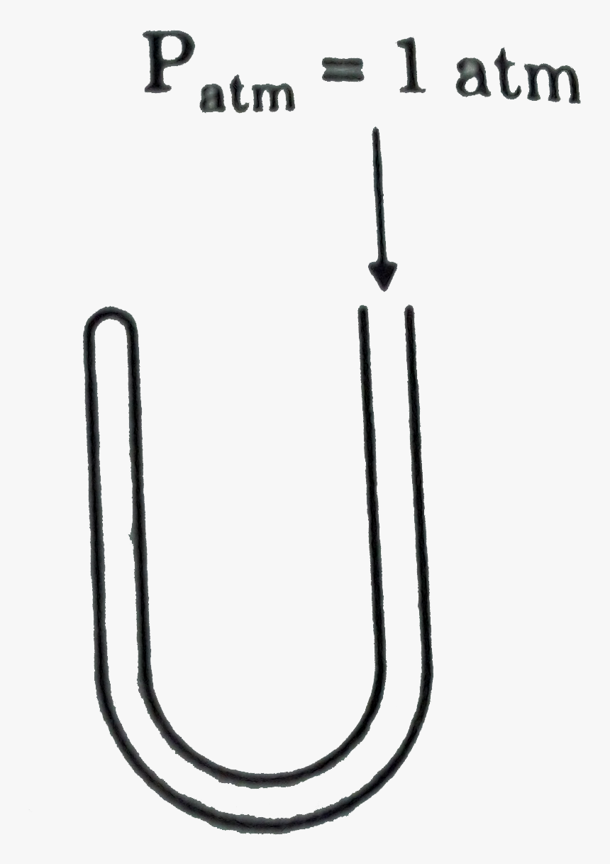 Line Art, HD Png Download