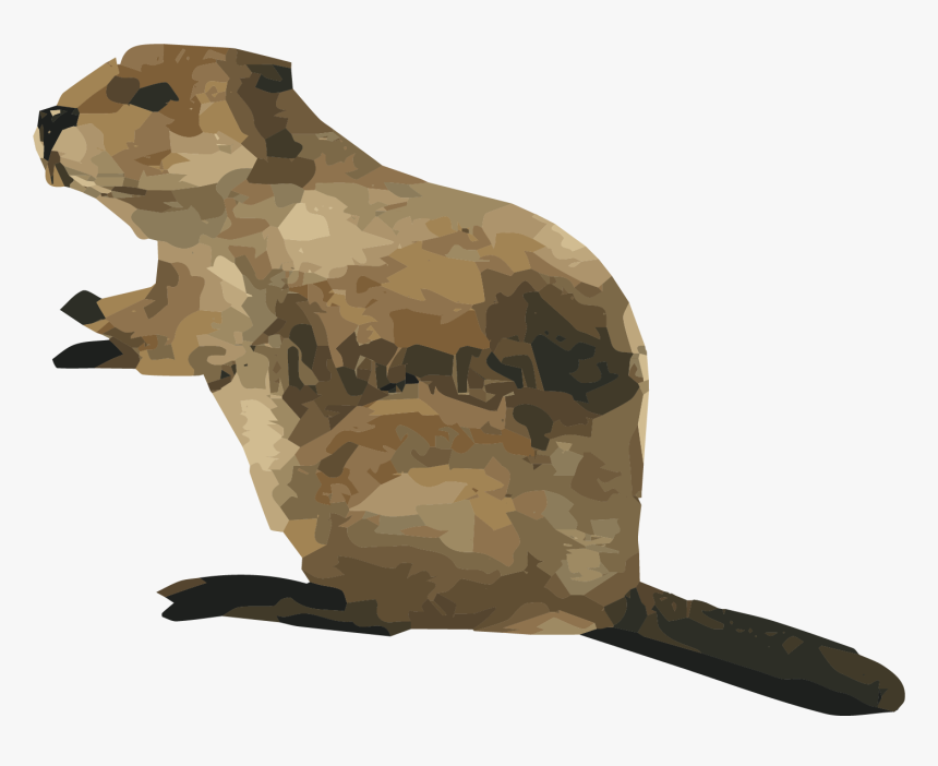 Grizzly Bear, HD Png Download