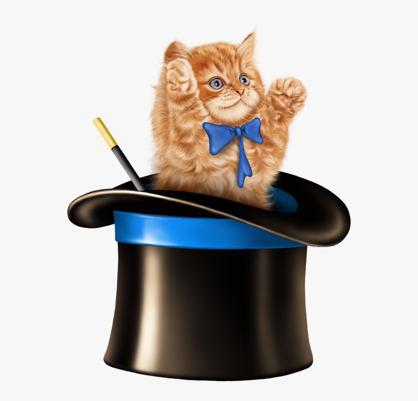 Cat In A Magic Hat, HD Png Download