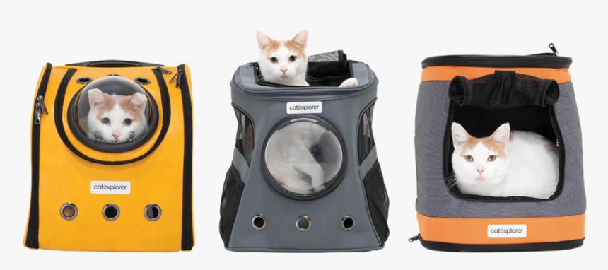 Cat .png, Transparent Png