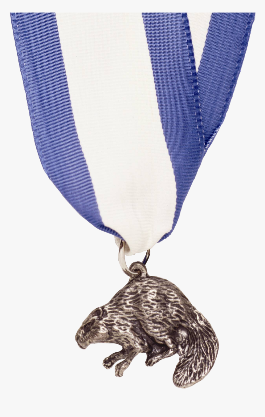 Silver Beaver Boy Scouts, HD Png Download