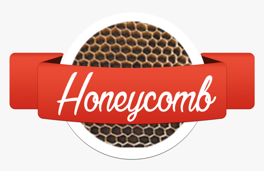 Bracelet, HD Png Download