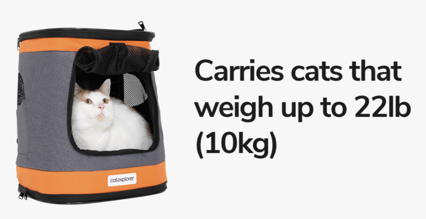 Cat Backpack Ranger Cats 22lb 10kg - Worldskills 2011, HD Png Download