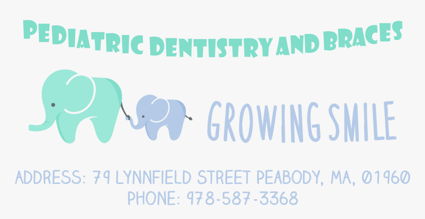 Growing Smile Pediatric Dentistry And Braces - Adventure Time, HD Png Download