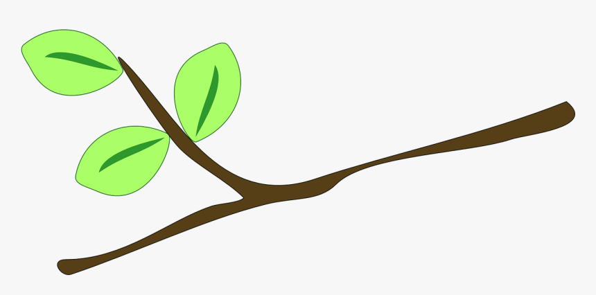 Branch, Leaves, Twig, Plant, Grow, Nature, Ecology, - Twig Clipart, HD Png Download