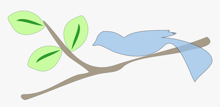 Png กิ่ง, Transparent Png