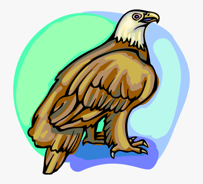 Vector Illustration Of American Bald Eagle National, HD Png Download