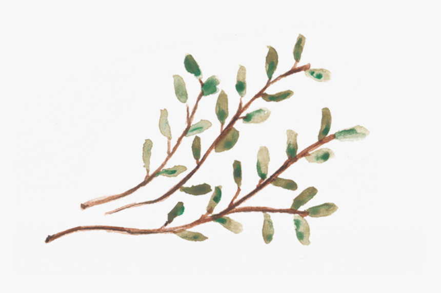 However, With God Being The Third Twig That Stands - Twig, HD Png Download