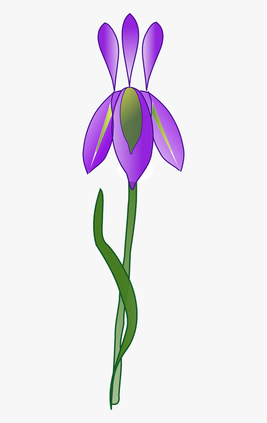 Iris Flower Purple Plant Garden Png Image Iris- - Clip Art, Transparent Png