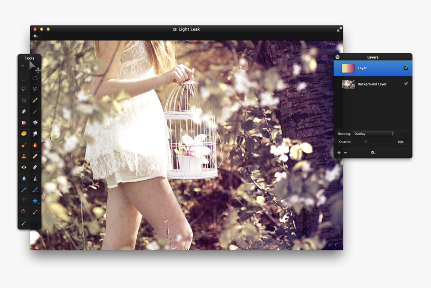 Beautiful Bird Cage With Girl, HD Png Download