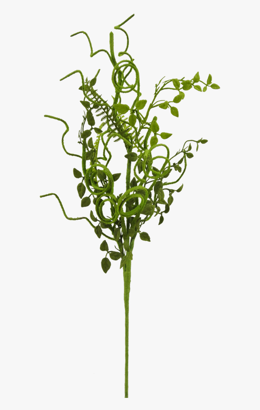 28 - Grass, HD Png Download