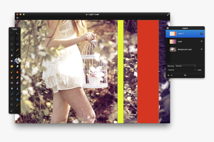 Beautiful Bird Cage With Girl, HD Png Download