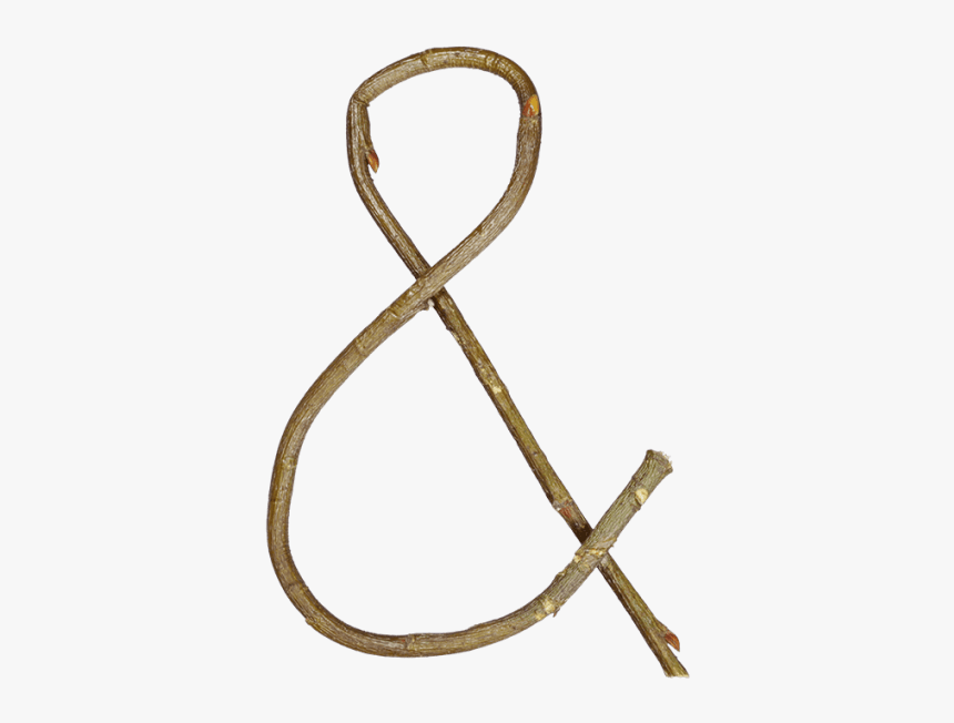 Single Twig Font - Wood, HD Png Download , Transparent Png Image - PNGitem