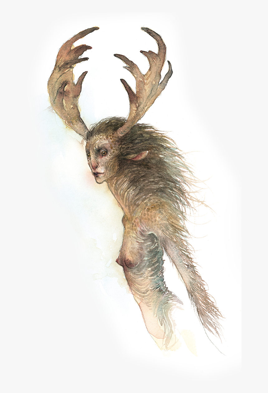 Iristransparent - Reindeer, HD Png Download