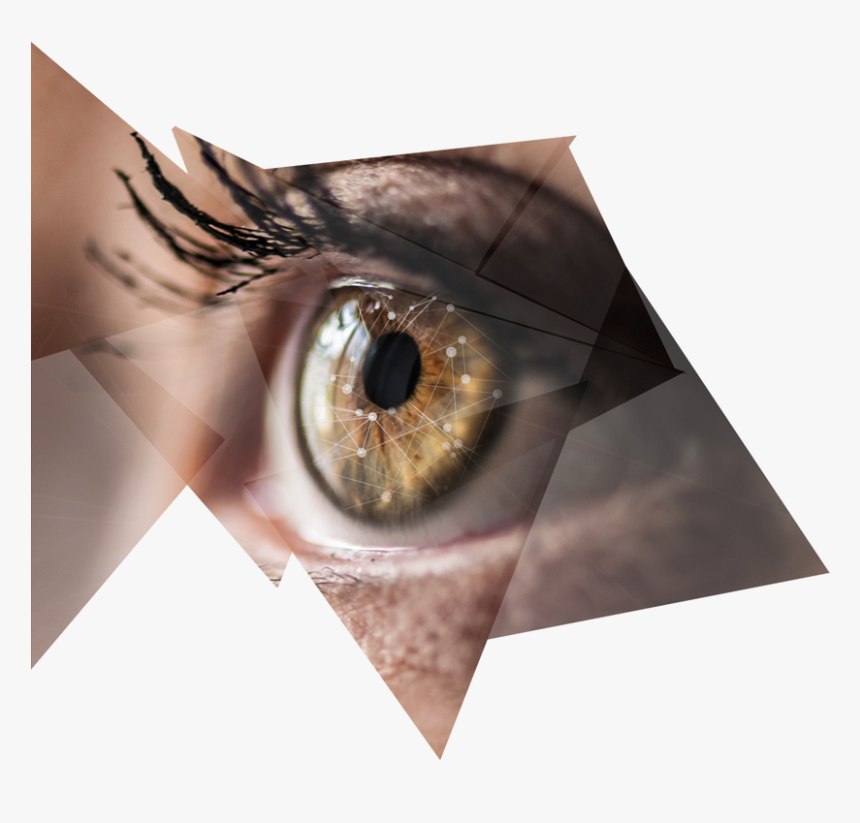 Close-up, HD Png Download