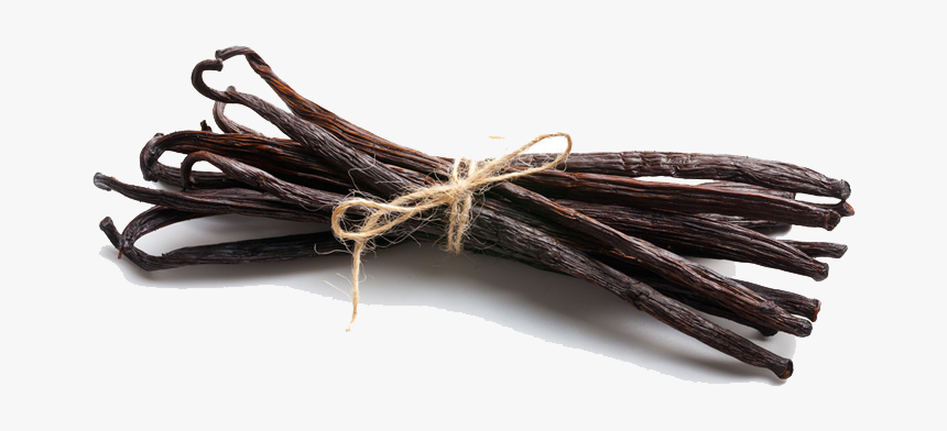 Download Vanilla Bean Png Photo For Designing Projects - Vanilla Bean Png, Transparent Png