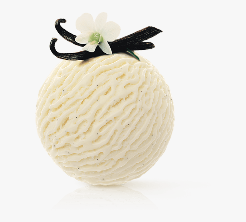 Vanilla Dream - Vanilla Fruit Png, Transparent Png