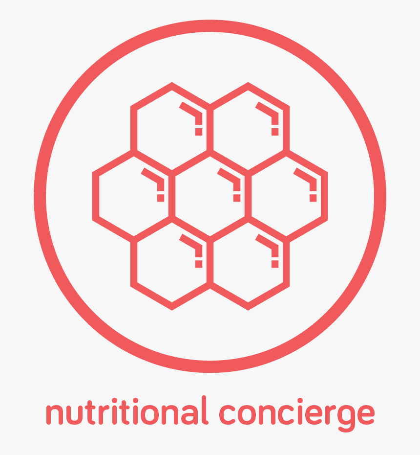 Asset 62 - Nutrition & Wellness Icons, HD Png Download