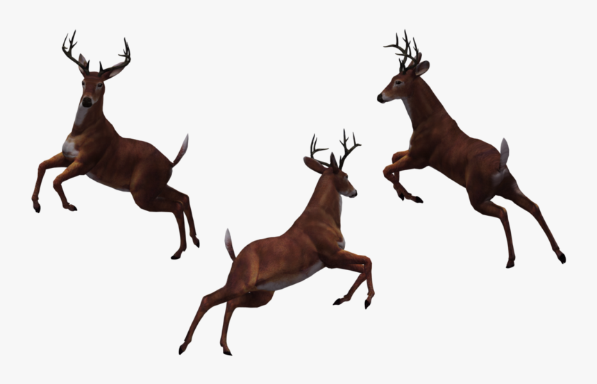 Buck 10 By Free Stock - Jumping Deer Silhouette, HD Png Download