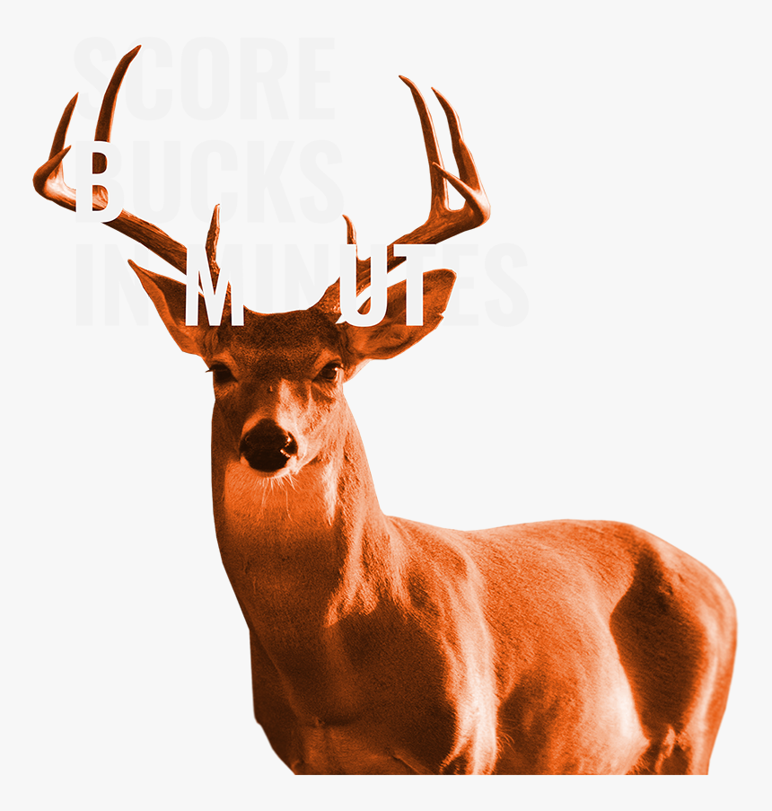 Elk, HD Png Download