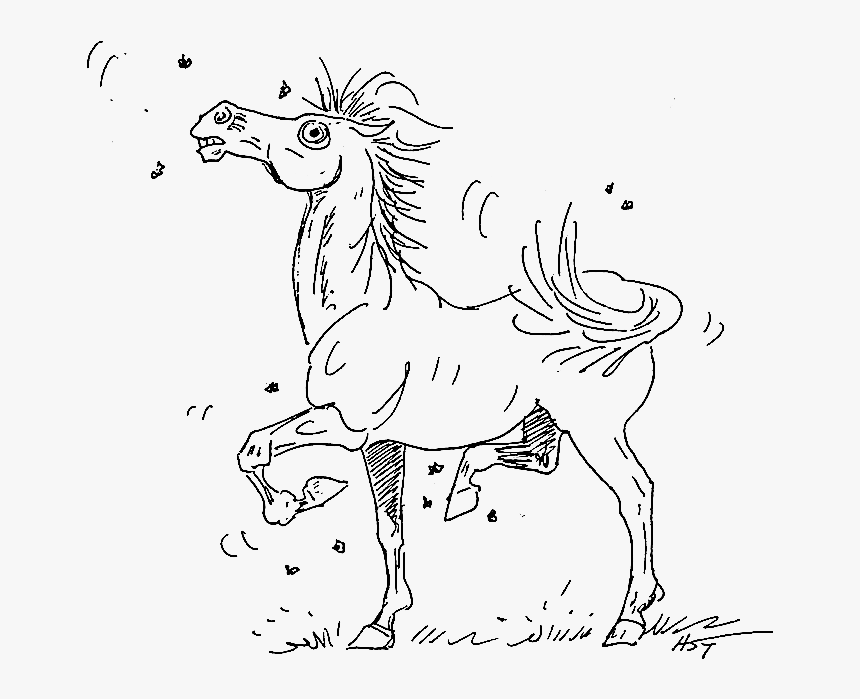 Fighting Flies - Cartoon - Cartoon, HD Png Download