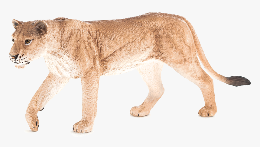 Mojo Lion Cub Toy, HD Png Download