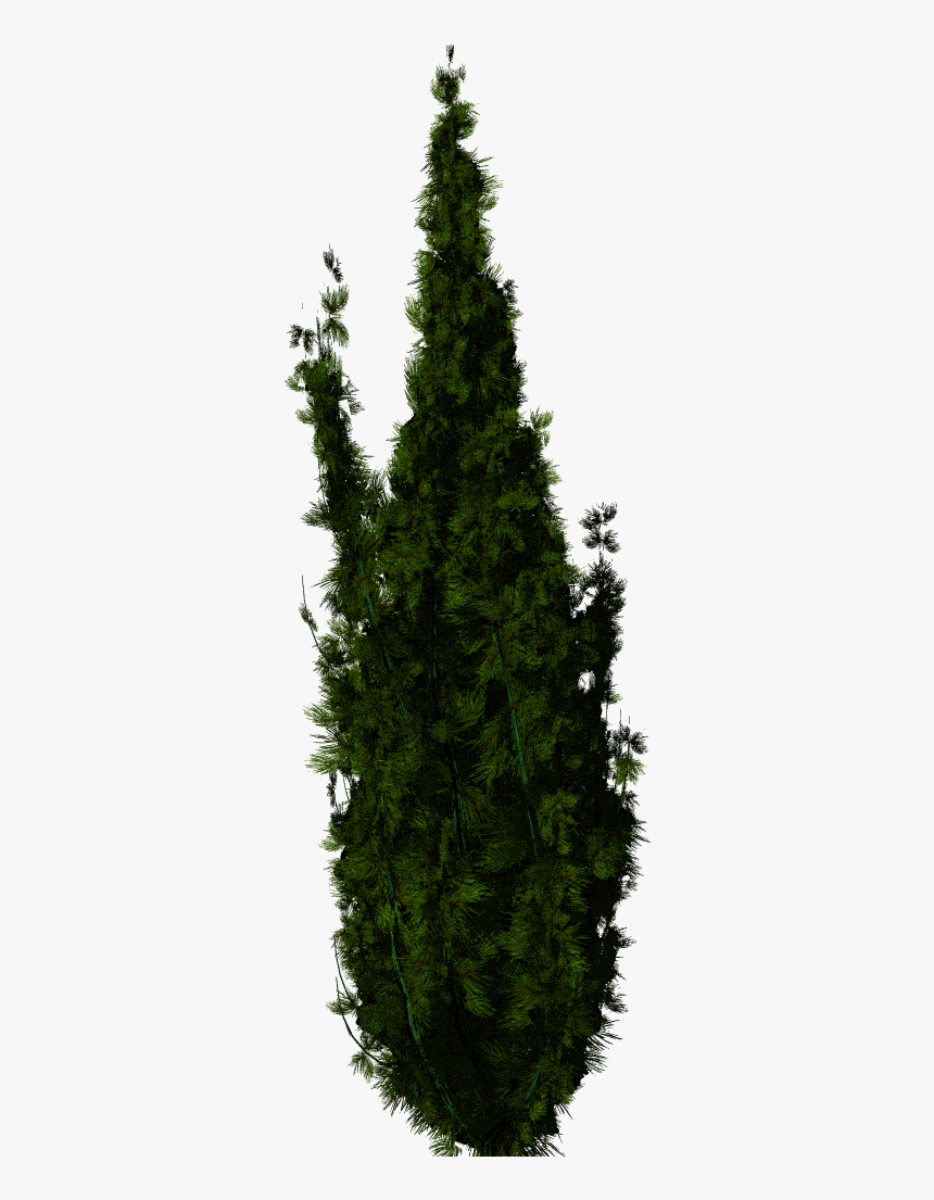 Trees For Photoshop, HD Png Download
