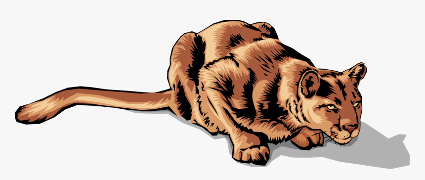 Vector Illustration Of Large Carnivore African Lioness - Bengal Tiger, HD Png Download