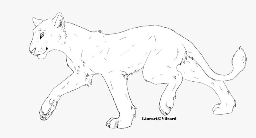 Lioness Lineart By Vilzard-d40phkt - Free Big Cat Lineart, HD Png Download