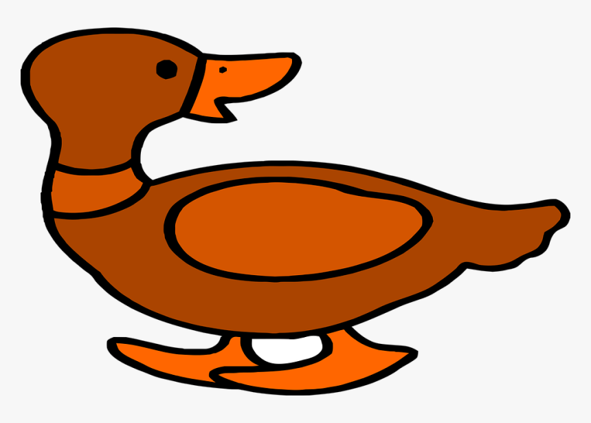 Duck, Animal, Ducklings, Ducks - Duck, HD Png Download