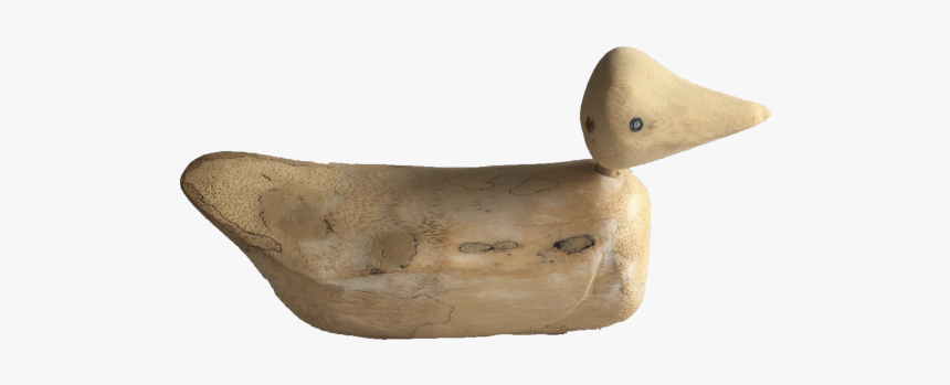 Img 1670-2 - Duck, HD Png Download