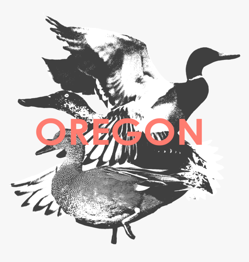 Transparent Oregon Ducks Png - Turkey, Png Download