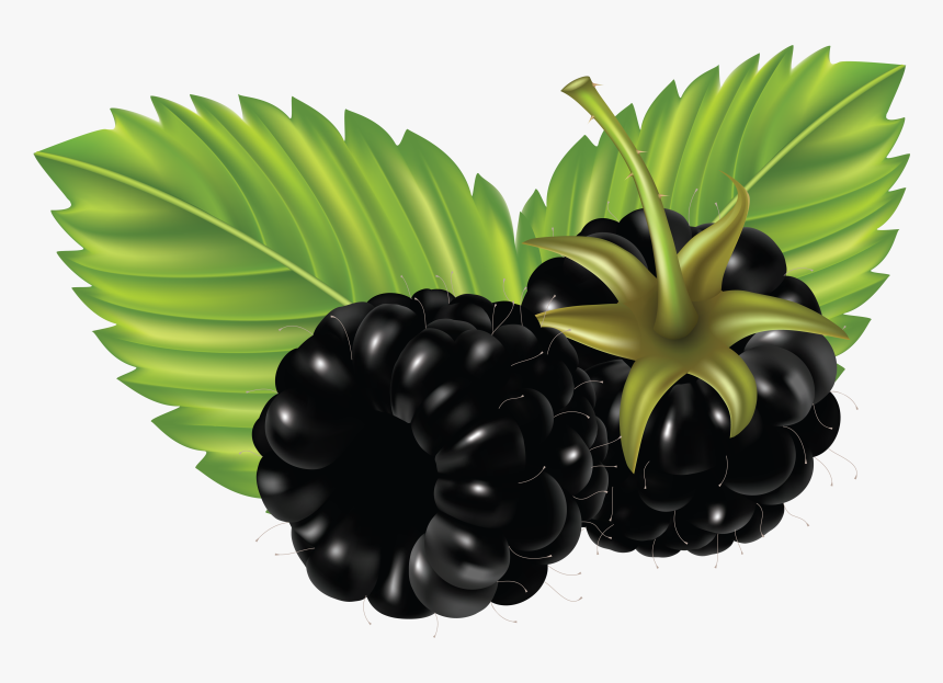 Food Clipart Png, Transparent Png