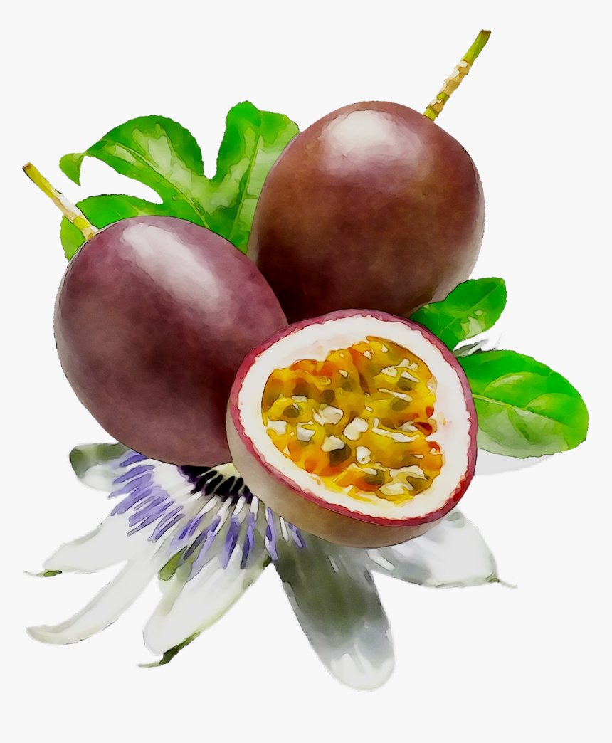 Food Fruit Passion Lipstick Cosmetics Png Free Photo - Passion Fruit Paint Png, Transparent Png