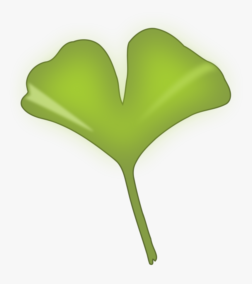 Ginkgo Biloba Leaf Clip Arts - Ginkgo Biloba Leaf Png, Transparent Png