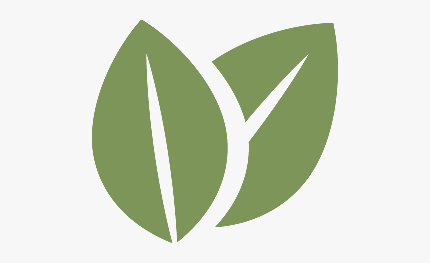 Food Suitable For Vegetarians, HD Png Download