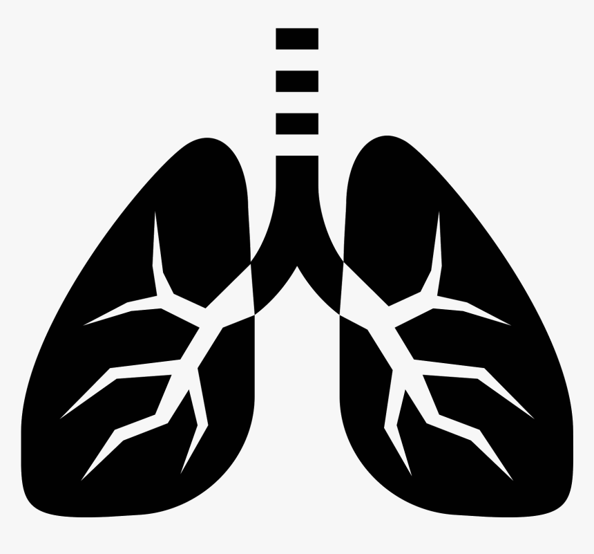 This Picture Is Of The Icon Lungs - Lungs Icon, HD Png Download