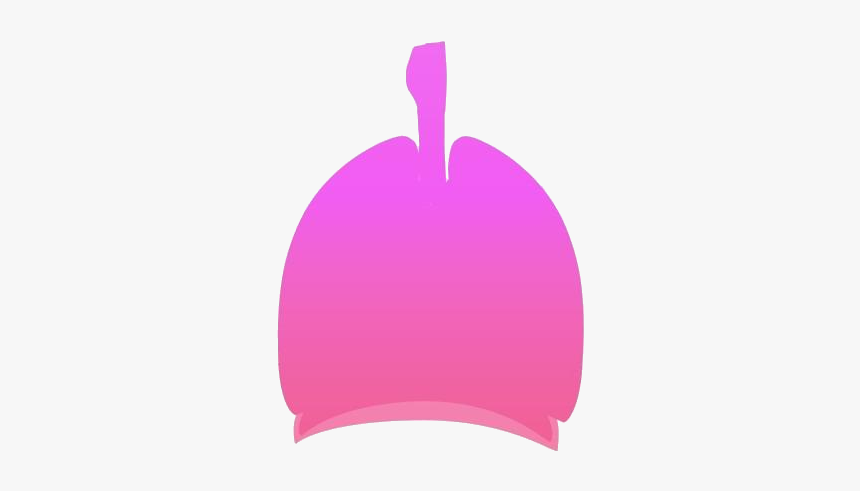 Human Lungs Png Clipart Free Download - Illustration, Transparent Png