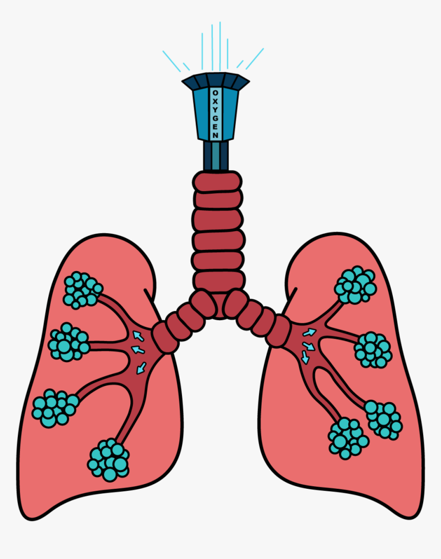 Drop Tower Lung Ride To Go Along With The Theme Park, HD Png Download