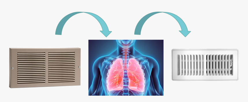 Computed Tomography, HD Png Download