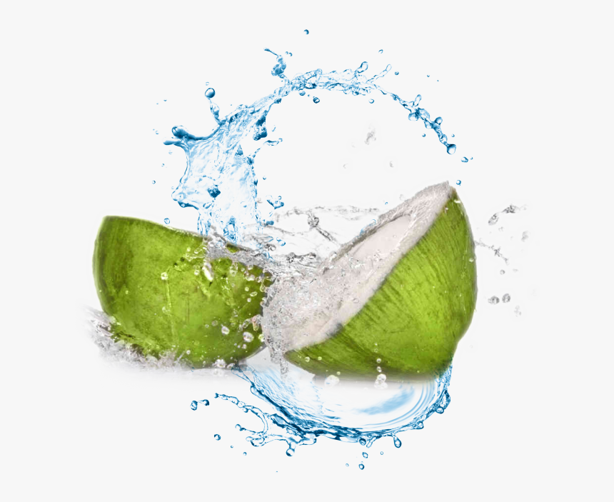 Coconut Water Transparent Background , Png Download - Coconut Water Png, Png Download