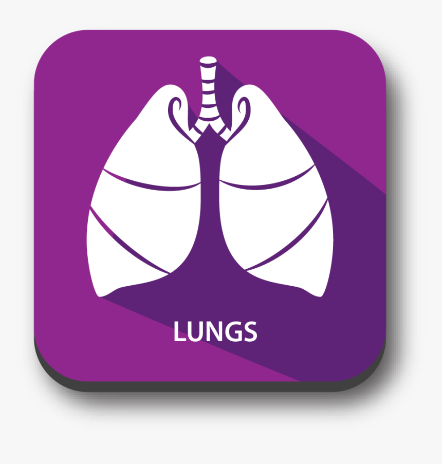 Signs Of Blood Clot In Lungs, HD Png Download