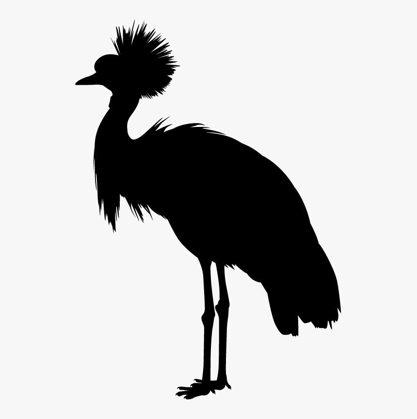 Flightless Bird, HD Png Download