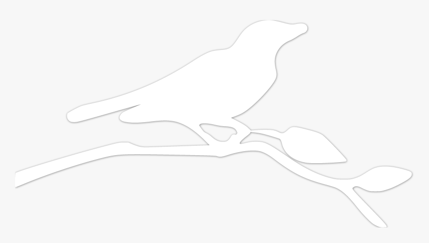 Bird - Perching Bird, HD Png Download