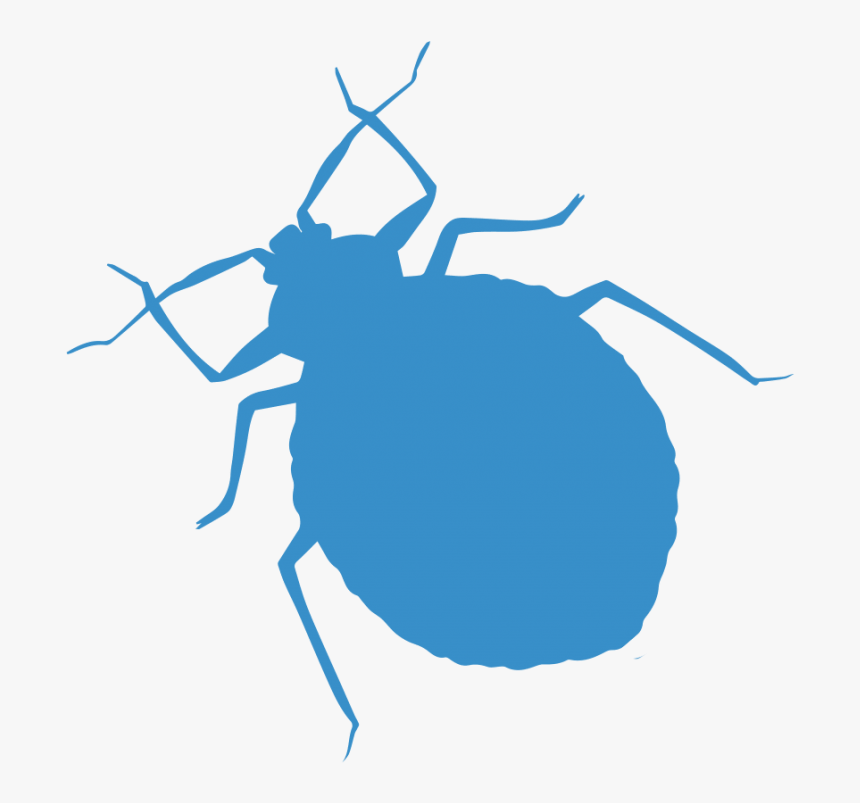 Weevil, HD Png Download